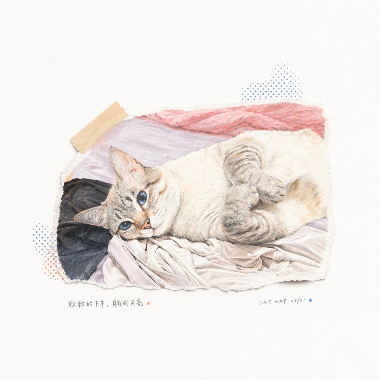 Photo Revival 原仓库样张：床上的猫